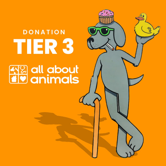 Clyde's MAD American Tour Donation Tier 3